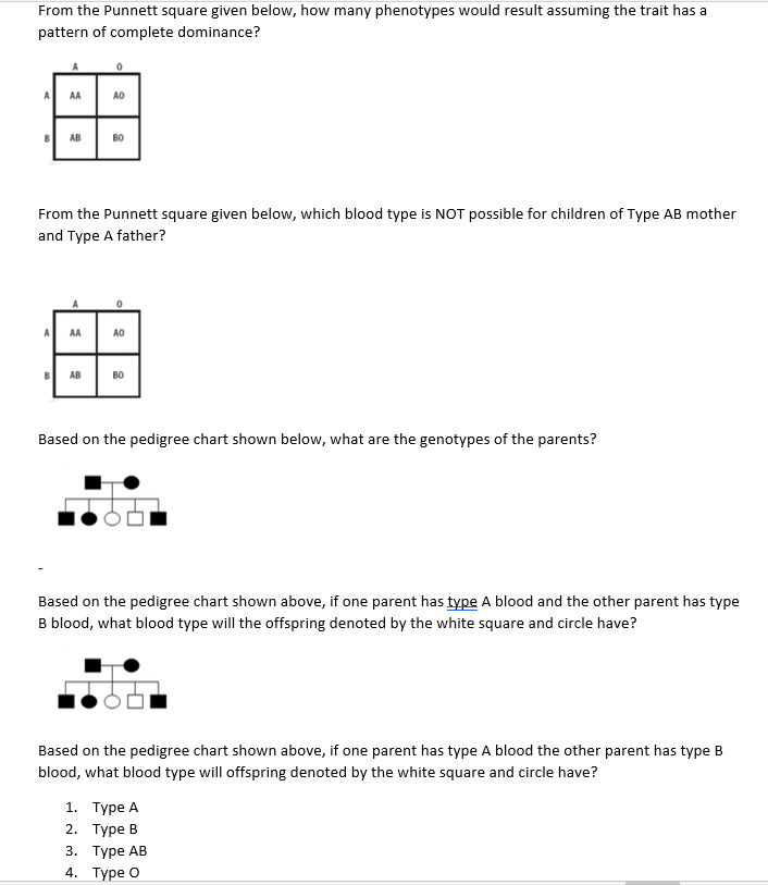 From The Punnett Square Given Below How Many Phenotypes Would Result Assuming The Trait Has A Pattern Of Complete Domin 1