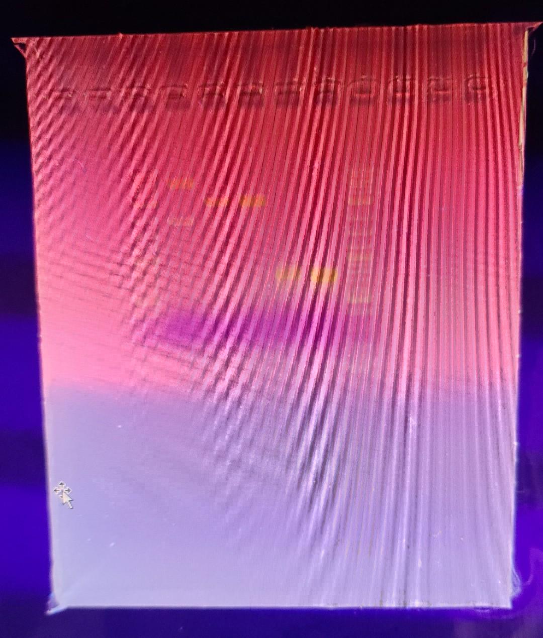 Describe Your Results For Each Fragment Insert And Vector Did You Recover The Fragment After Purification If Not 1