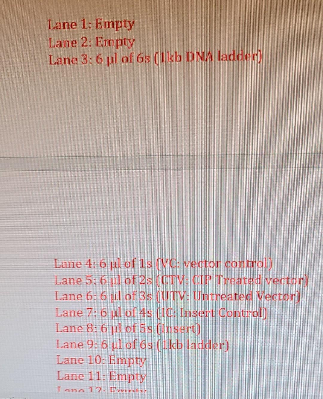 Describe Your Results For Each Fragment Insert And Vector Did You Recover The Fragment After Purification If Not 3
