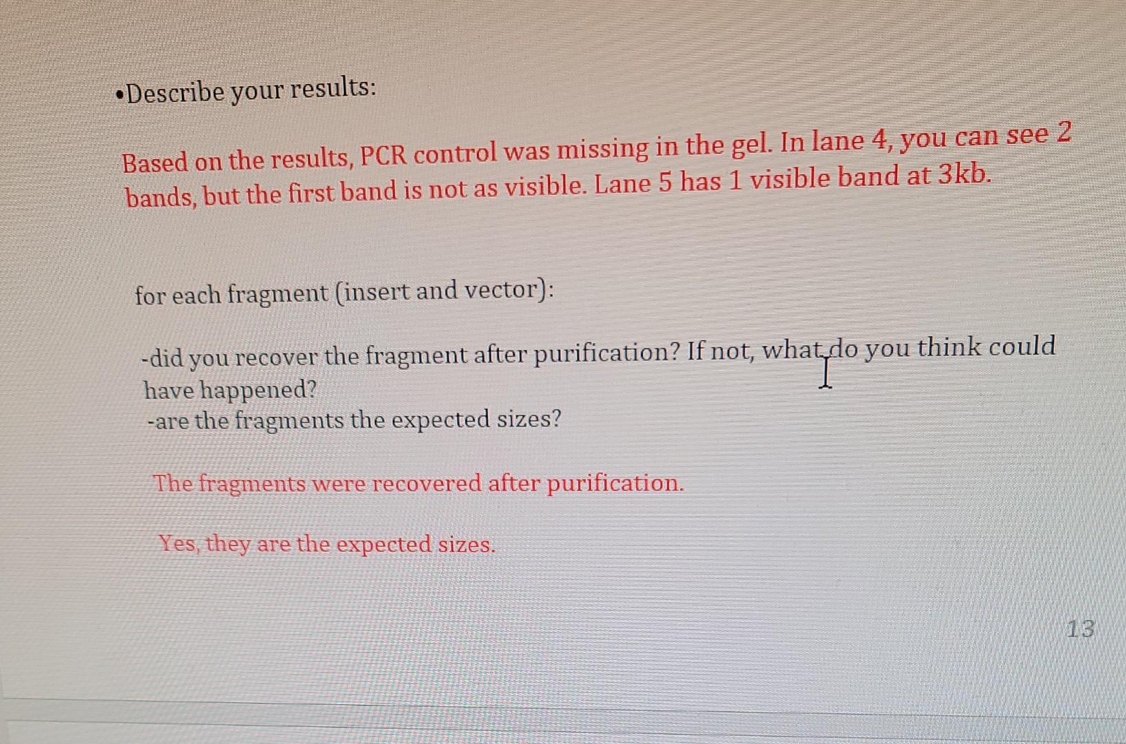 Describe Your Results For Each Fragment Insert And Vector Did You Recover The Fragment After Purification If Not 4