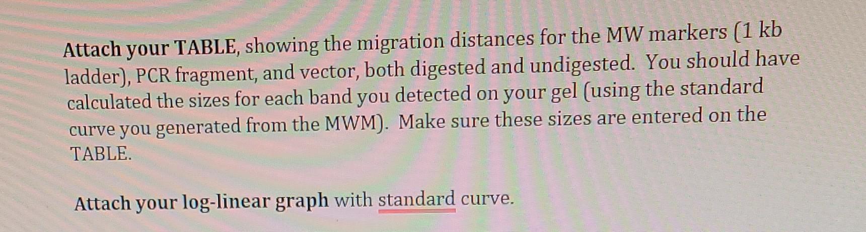 Attach Your Table Showing The Migration Distances For The Mw Markers 1 Kb Ladder Pcr Fragment And Vector Both Diges 2