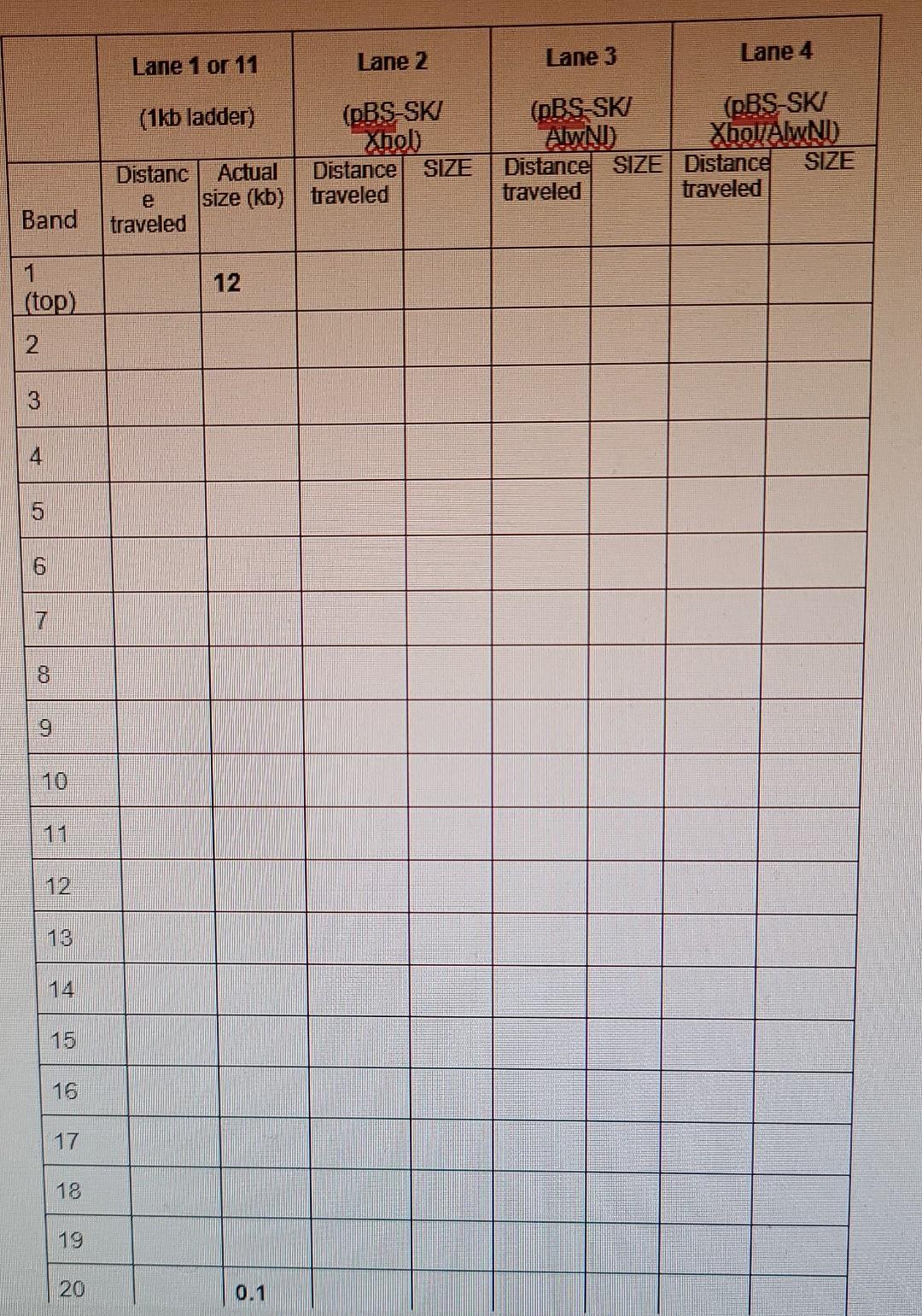 Attach Your Table Showing The Migration Distances For The Mw Markers 1 Kb Ladder Pcr Fragment And Vector Both Diges 3