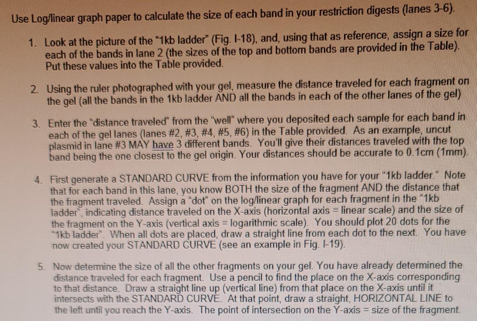Attach Your Table Showing The Migration Distances For The Mw Markers 1 Kb Ladder Pcr Fragment And Vector Both Diges 5