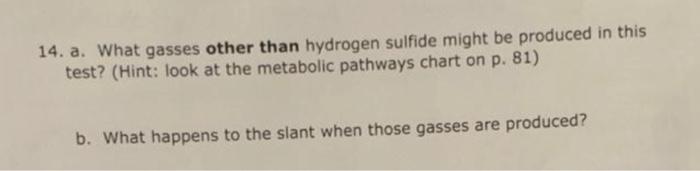 14 A What Gasses Other Than Hydrogen Sulfide Might Be Produced In This Test Hint Look At The Metabolic Pathways Cha 1