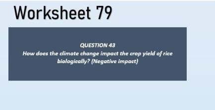 Worksheet 79 Question 43 How Does The Climate Change Impact The Crop Yield Of Rice Biologically Negative Impact 1