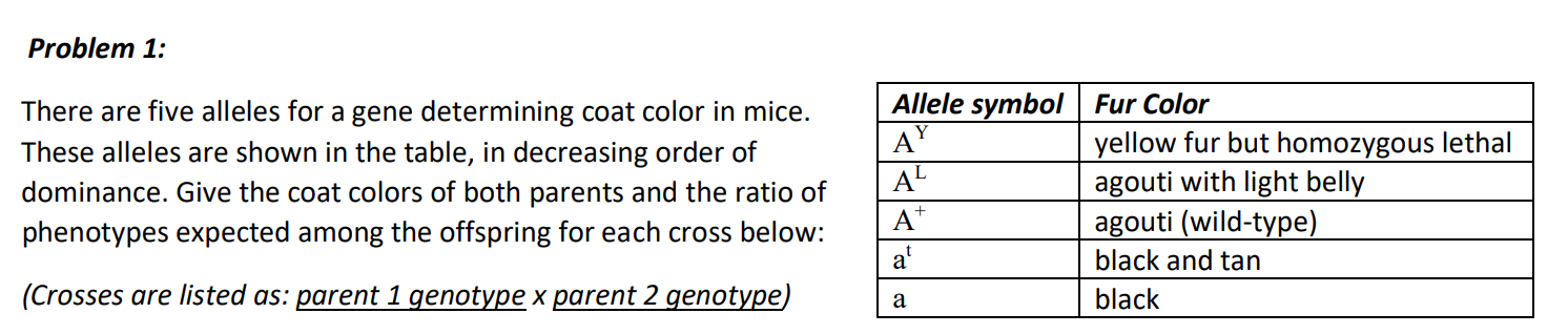 Problem 1 There Are Five Alleles For A Gene Determining Coat Color In Mice These Alleles Are Shown In The Table In De 1