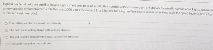 Typical Bacterial Cells Are 5mall To Have A High Surface Area To Volume Ratio That Maintains Efficient Absorption Of Nut 1