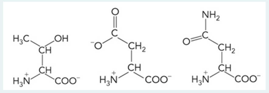 Consider A Peptide That Is Formed By The Three Amino Acids Left To Right N To C Terminus What Is The Overall Averag 1