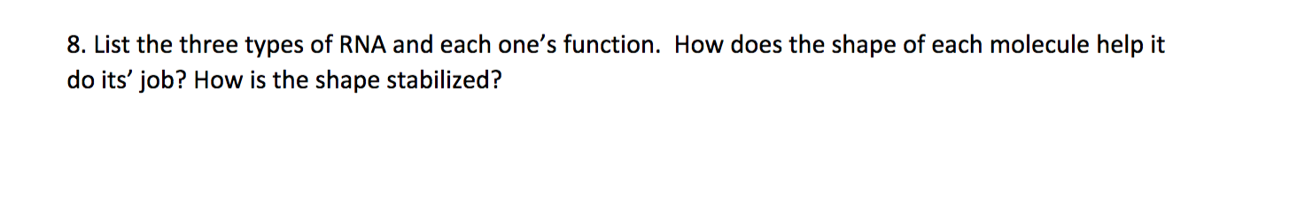 8 List The Three Types Of Rna And Each One S Function How Does The Shape Of Each Molecule Help It Do Its Job How Is 1