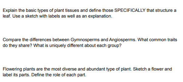 Explain The Basic Types Of Plant Tissues And Define Those Specifically That Structure A Leaf Use A Sketch With Labels A 1