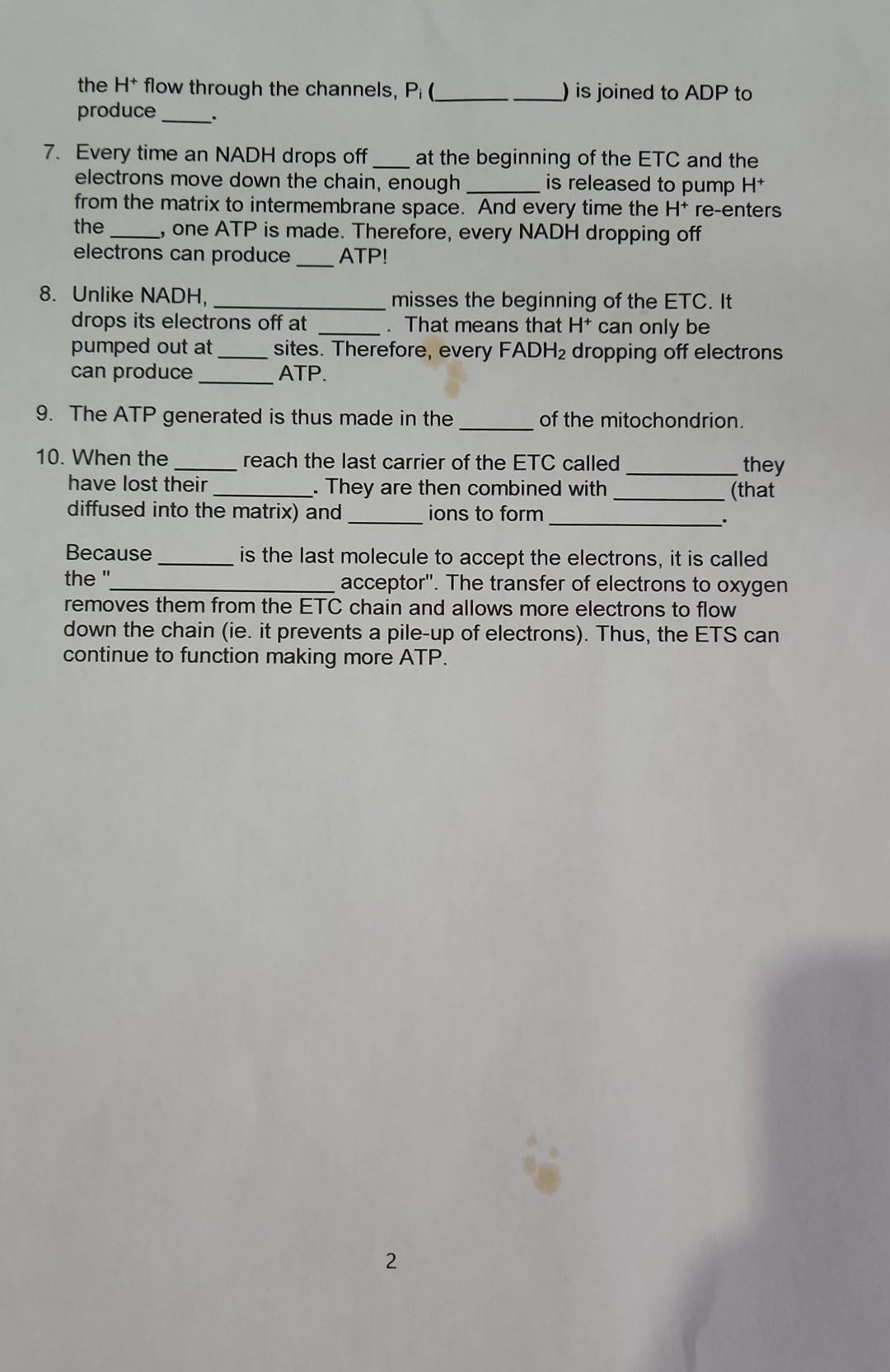 Electron Transport Chain At This Point One Molecule Of Glucose Has Yielded Atp From Glycolysis Atp From Krebs Cycl 2