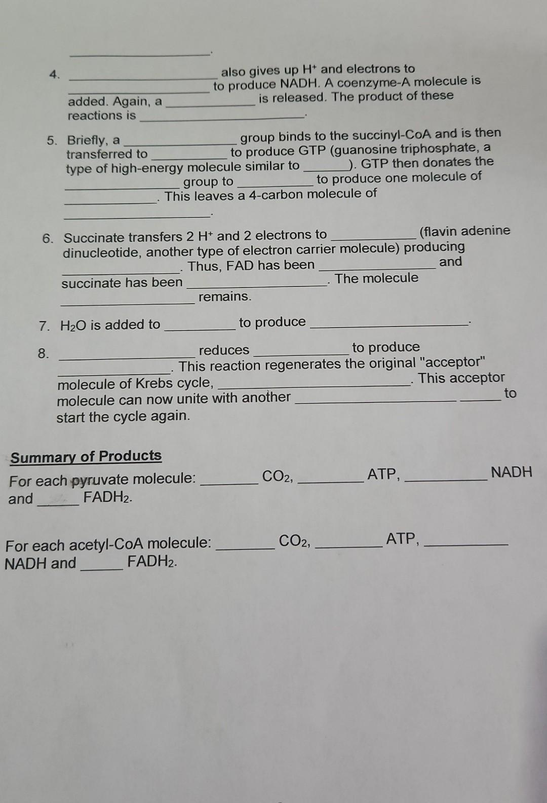 Pyruvate Oxidation And Krebs Cycle At The End Of Glycolysis Molecules Of Atp And Molecules Of Nadh Have Been Formed Al 2