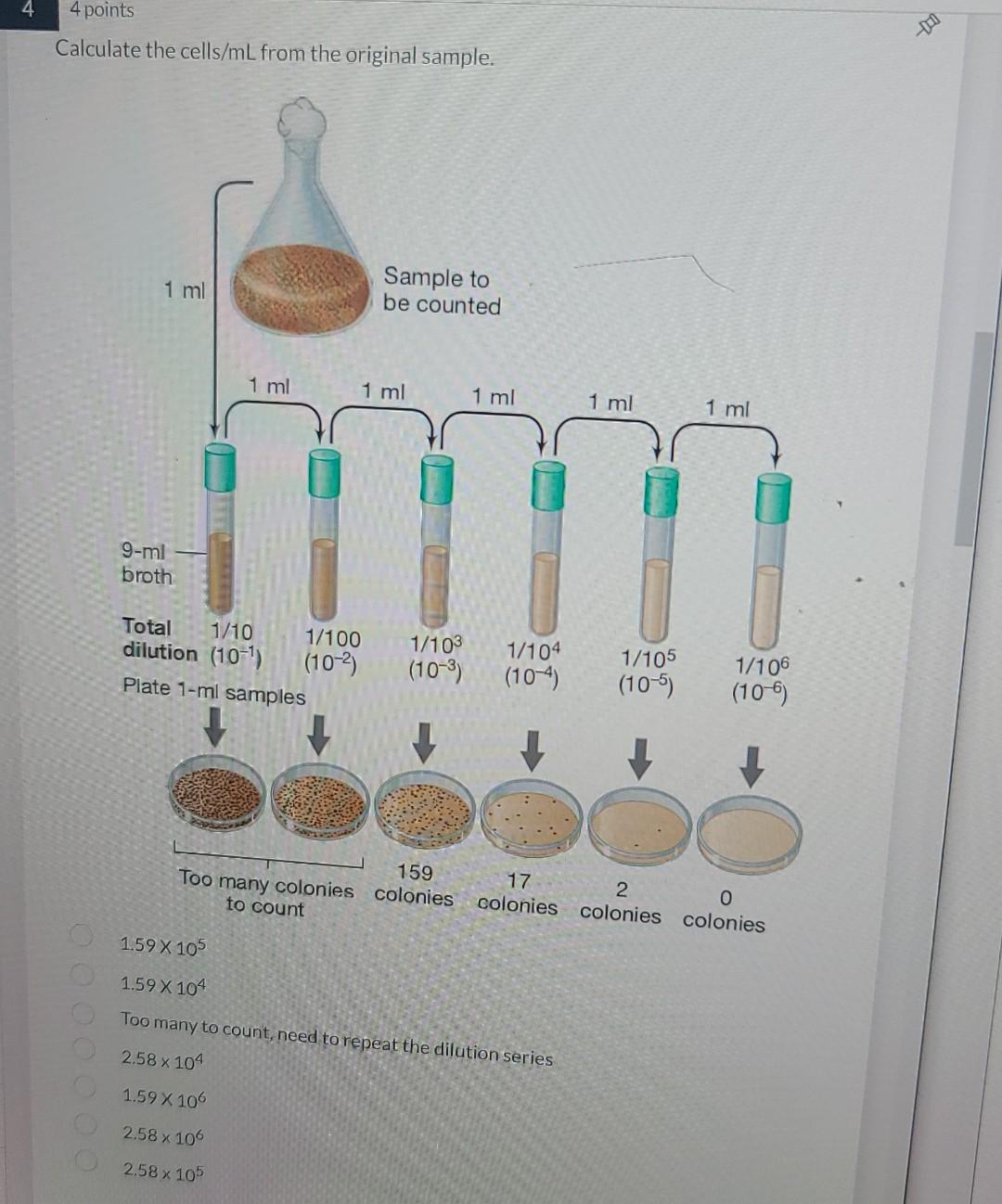 Calculate The Cells Ml From The Original Sample Plate 1 Ml Samples 1 59 105 1 59 104 Too Many To Count Need To Repeat 1