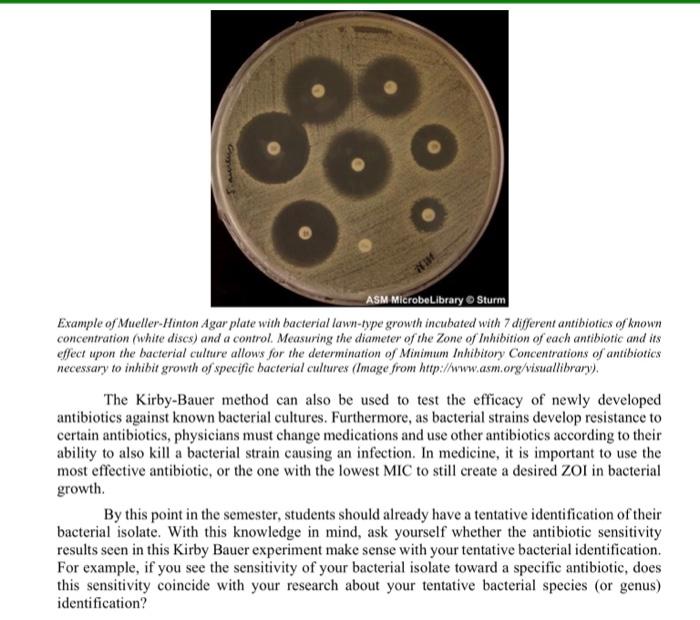 Standards For Antimicrobial Disc Diffusion Susceptibility Tests Tror Ctarryoceco Vor Erieromono Rey Stactionoco Example 4
