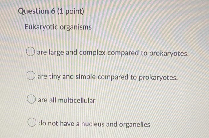 Question 6 1 Point Eukaryotic Organisms Are Large And Complex Compared To Prokaryotes Are Tiny And Simple Compared To 1