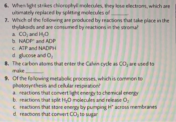2 Monomers Are Joined Together To Form Larger Polymers Through Such A Reaction Releases A Molecule Of 3 Polymers Are B 5