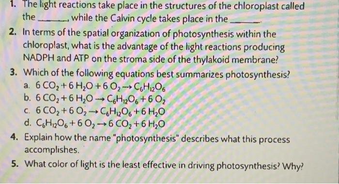 2 Monomers Are Joined Together To Form Larger Polymers Through Such A Reaction Releases A Molecule Of 3 Polymers Are B 6