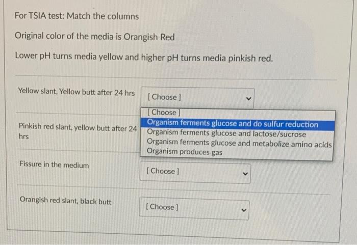For Tsia Test Match The Columns Original Color Of The Media Is Orangish Red Lower Ph Turns Media Yellow And Higher Ph T 1