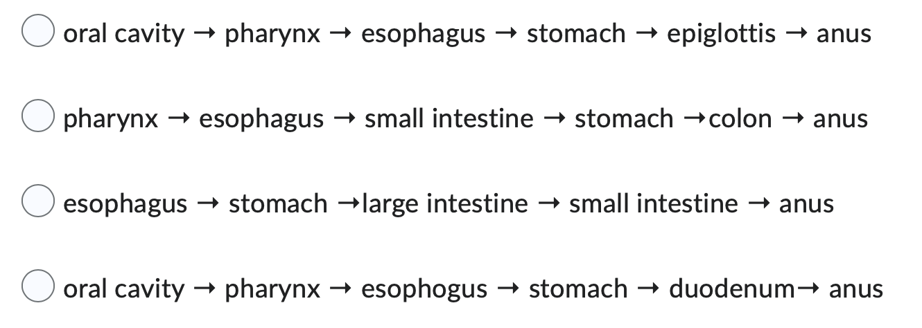 Which Of The Following Lists The Correct Order Of Organs And Structures That Food Must Pass Through From Ingestion To El 1