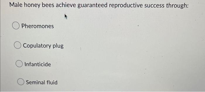 Male Honey Bees Achieve Guaranteed Reproductive Success Through Pheromones Copulatory Plug Infanticide Seminal Fluid 1
