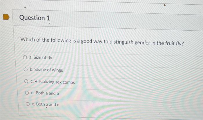 Which Of The Following Is A Good Way To Distinguish Gender In The Fruit Fly A Size Of Fly B Shape Of Wings C Visuali 1