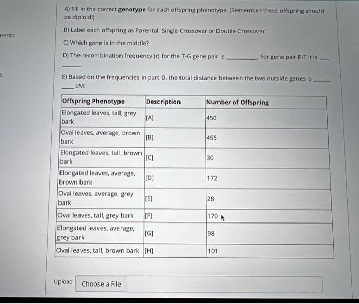 Note This Is Not A File Submission Question Please Type Your Answers In The Provided Spaces Shown Below Is A Eukaryoti 2