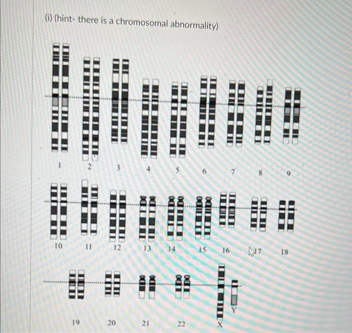 Provide The Proper Chromosomal Designation And Genetic Condition For I And Ii If Applicable For The Two Karyotypes 2