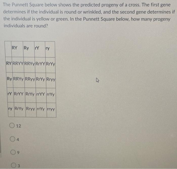 The Punnett Square Below Shows The Predicted Progeny Of A Cross The First Gene Determines If The Individual Is Round Or 2
