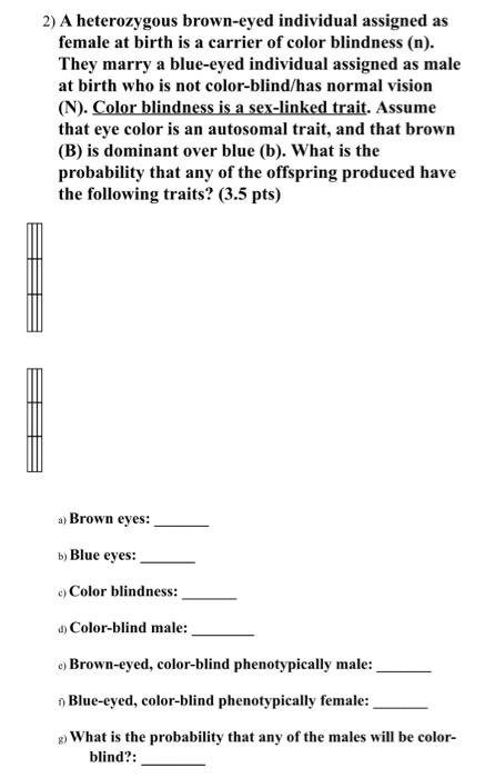 2 A Heterozygous Brown Eyed Individual Assigned As Female At Birth Is A Carrier Of Color Blindness N They Marry A 1