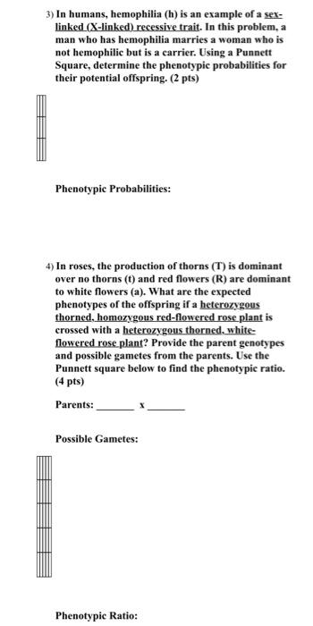 3 In Humans Hemophilia H Is An Example Of A Sexlinked X Linked Recessive Trait In This Problem A Man Who Has H 1