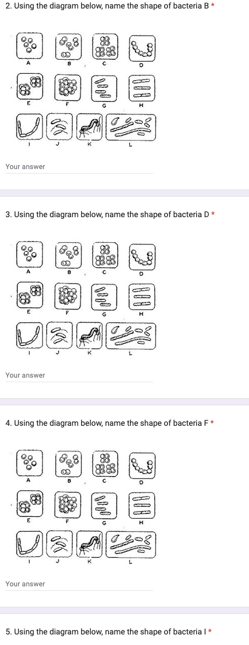 2 Using The Diagram Below Name The Shape Of Bacteria B Your Answer 3 Using The Diagram Below Name The Shape Of Bac 1