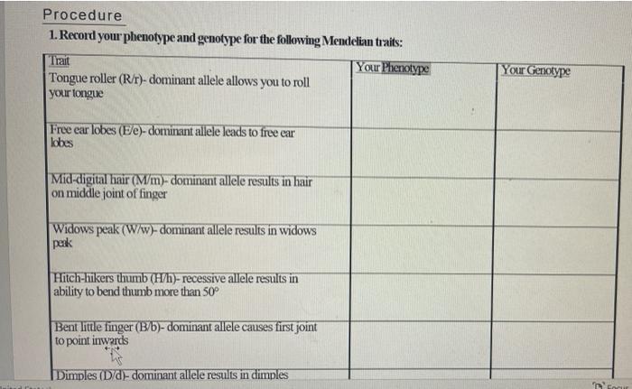 Procedure 1 Record Your Phenotype And Genotype For The Following Mendclian Traits 2 Two People Who Are Heterozygou 1