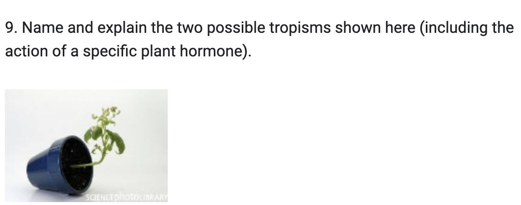 9 Name And Explain The Two Possible Tropisms Shown Here Including The Action Of A Specific Plant Hormone 1