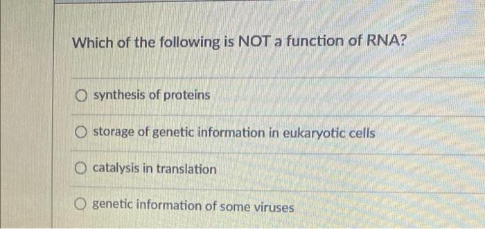 Which Of The Following Is Not A Function Of Rna Synthesis Of Proteins Storage Of Genetic Information In Eukaryotic Cell 1