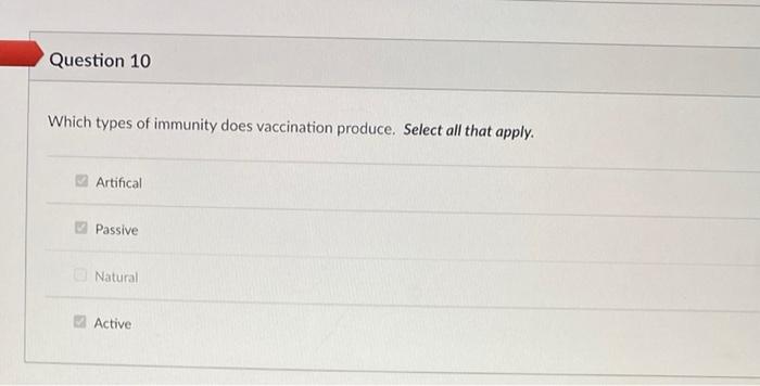 Which Types Of Immunity Does Vaccination Produce Select All That Apply Artifical Passive Natural Active 2