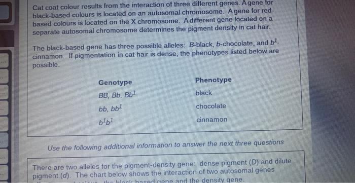 Cat Coat Colour Results From The Interaction Of Three Different Genes A Gene For Black Based Colours Is Located On An A 1