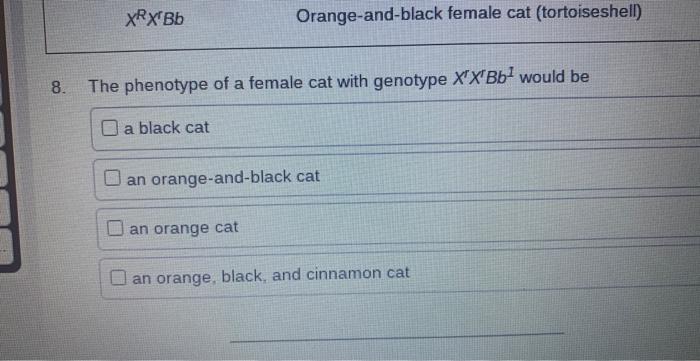 Cat Coat Colour Results From The Interaction Of Three Different Genes A Gene For Black Based Colours Is Located On An A 6