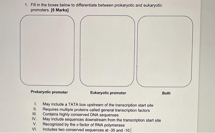 1 Fill In The Boxes Below To Differentiate Between Prokaryotic And Eukaryotic Promoters I6 Marks1 I May Include A Tat 1