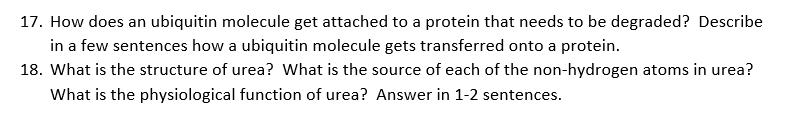 17 How Does An Ubiquitin Molecule Get Attached To A Protein That Needs To Be Degraded Describe In A Few Sentences How 1