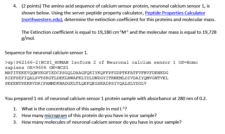 4 2 Points The Amino Acid Sequence Of Calcium Sensor Protein Neuronal Calcium Sensor 1 Is Shown Below Using The S 1