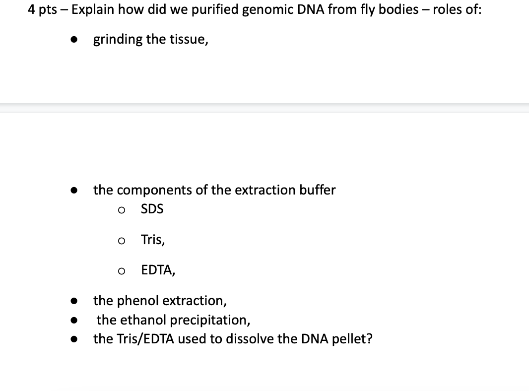 4 Pts Explain How Did We Purified Genomic Dna From Fly Bodies Roles Of Grinding The Tissue The Components Of The E 1