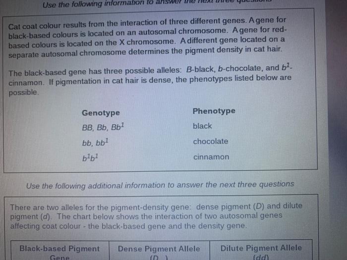 Cat Coat Colour Results From The Interaction Of Three Different Genes A Gene For Black Based Colours Is Located On An A 1