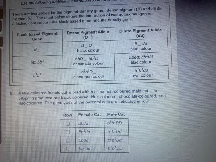 Cat Coat Colour Results From The Interaction Of Three Different Genes A Gene For Black Based Colours Is Located On An A 2