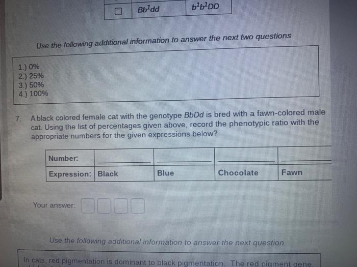 Cat Coat Colour Results From The Interaction Of Three Different Genes A Gene For Black Based Colours Is Located On An A 3