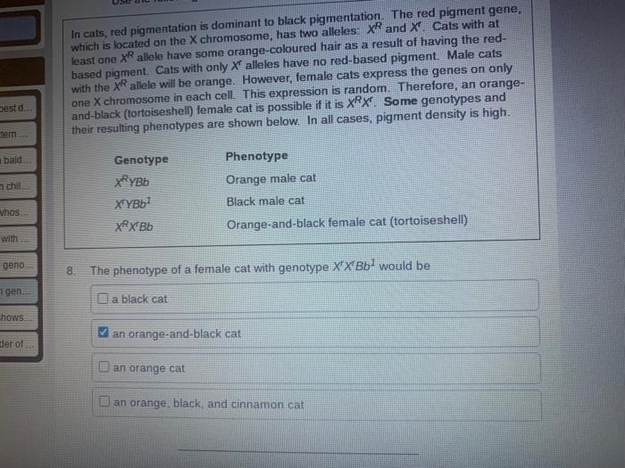Cat Coat Colour Results From The Interaction Of Three Different Genes A Gene For Black Based Colours Is Located On An A 4