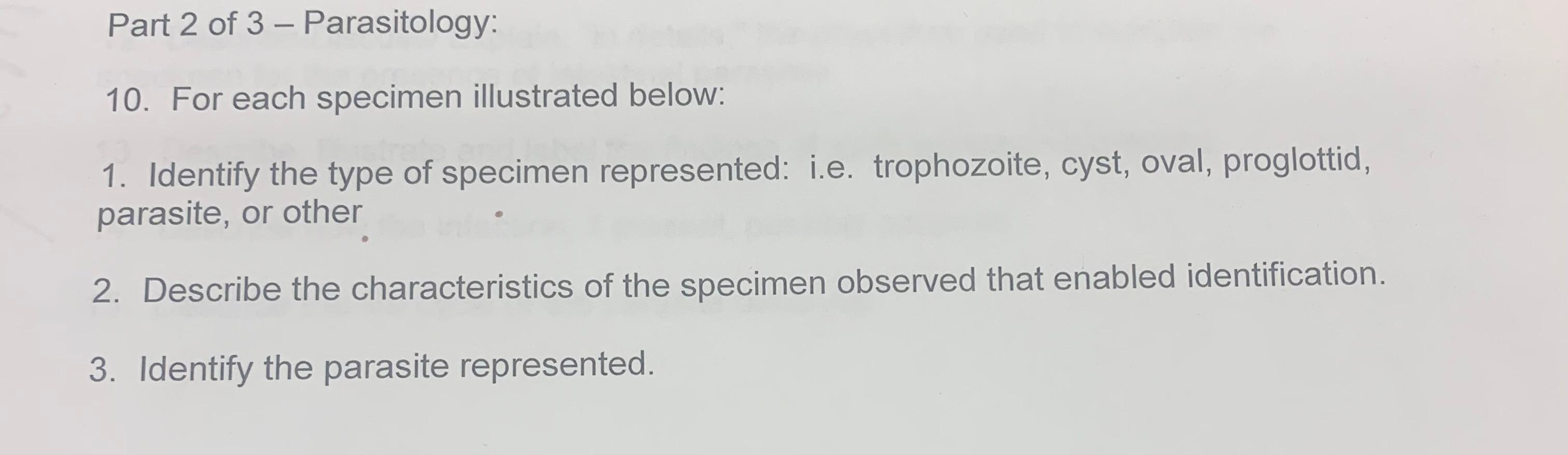 10 For Each Specimen Illustrated Below 1 Identify The Type Of Specimen Represented I E Trophozoite Cyst Oval Pro 1