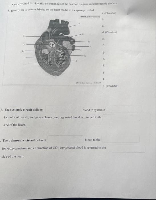 1 Anatomy Checklist Identify The Structures Of The Heart On Diagrams And Laboratory Models 2 Identify The Structures 1