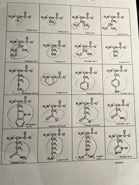 Please Help Me With Questions 4 10 Thank You In Advance Thumbs Up 3 For Each Of The Amino Acids On The Next Page O 1