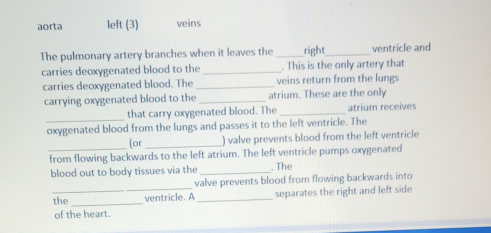 The Pulmonary Artery Branches When It Leaves The Right Ventricle And Carries Deoxygenated Blood To The This Is The Only 1