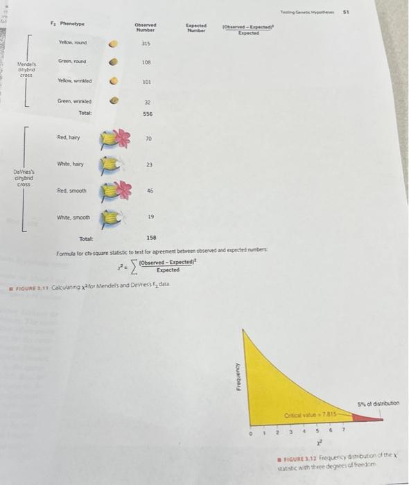 Formula For Chscuare Statistic To Test For Ayeecient Betweet Cbserved And Eapecrea Numbern X2 Expected Observed E 1